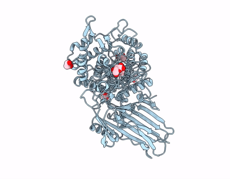 9SD7 image