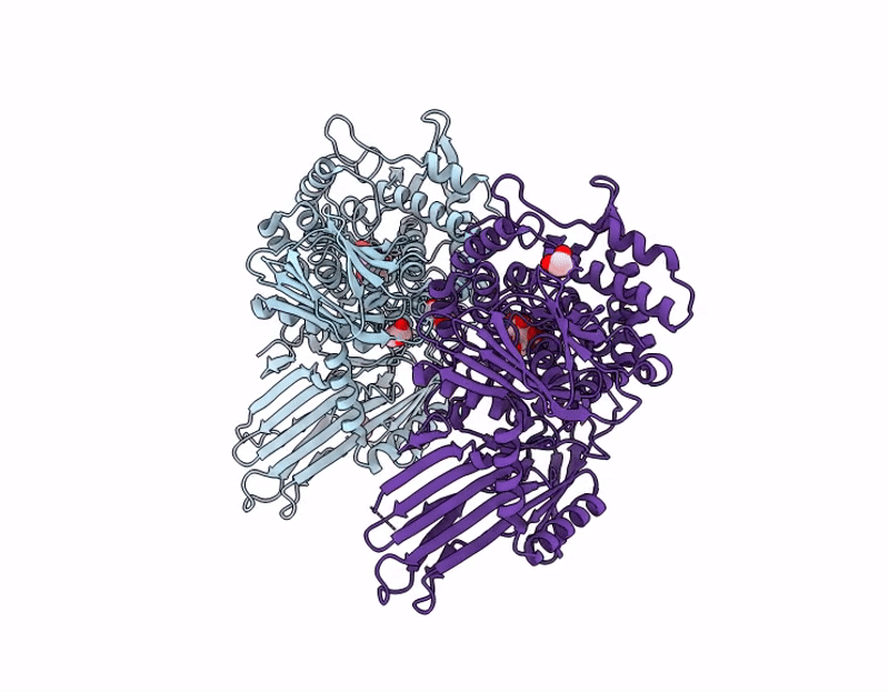 9SD8 image