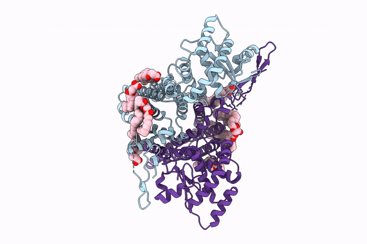 9SDH image