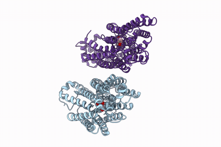 9SDL image