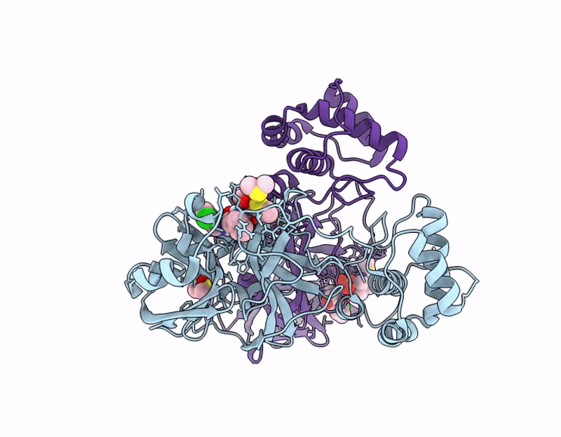 9SDM image