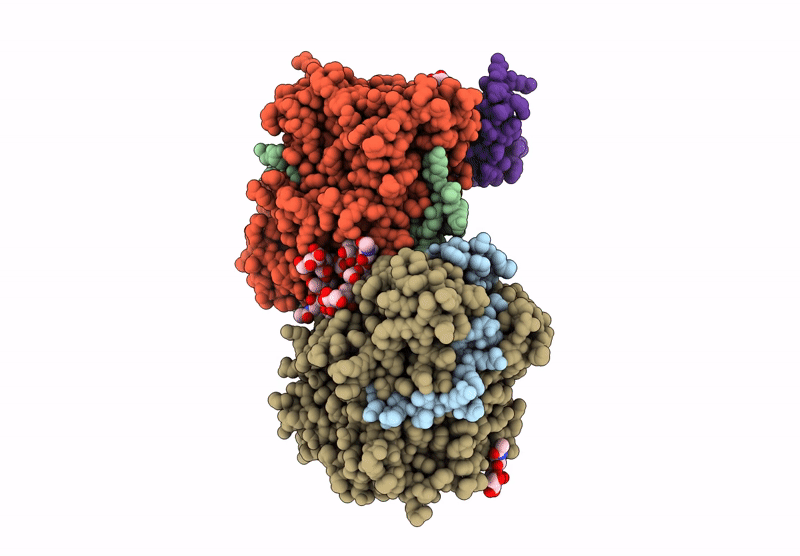 9SDS image