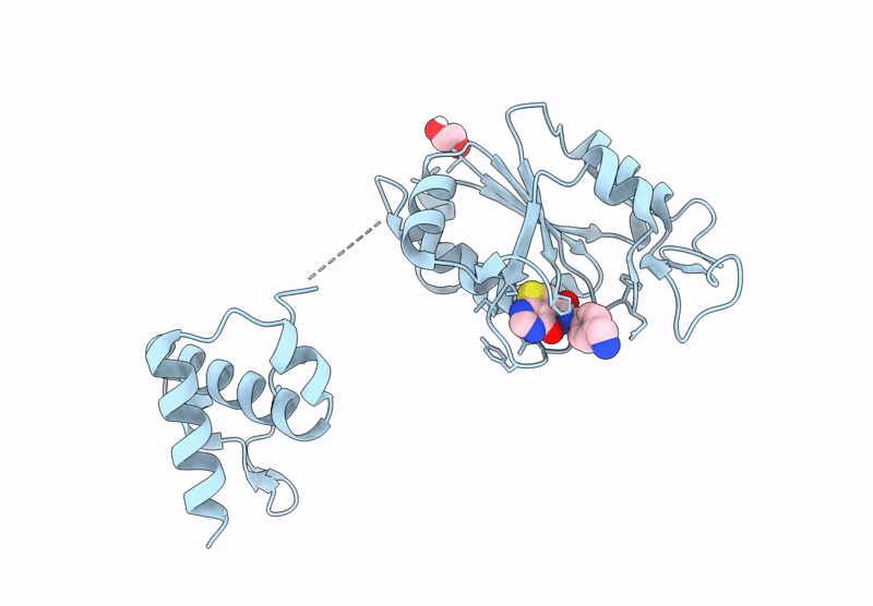 9SDV image