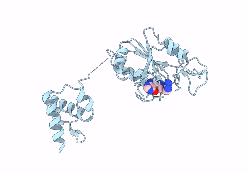 9SDW image