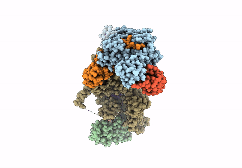 9SDX image