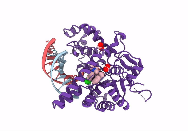 9SEB image
