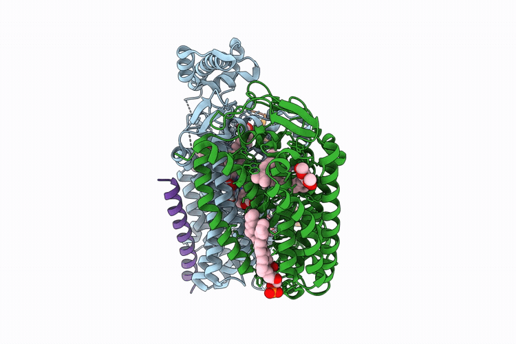 9SFH image