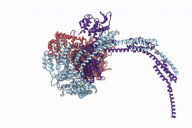 9SFN image