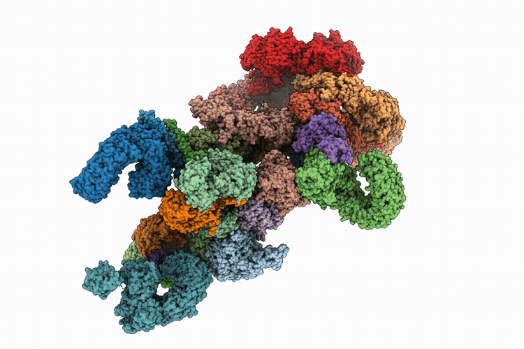 9SFP image