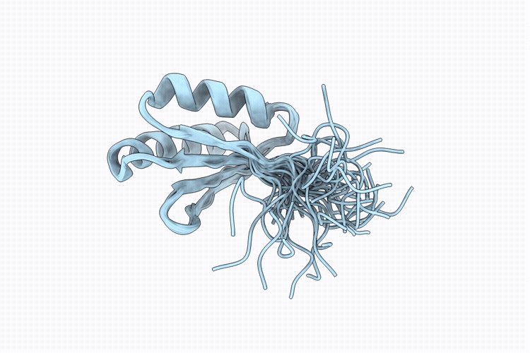 9SGJ image