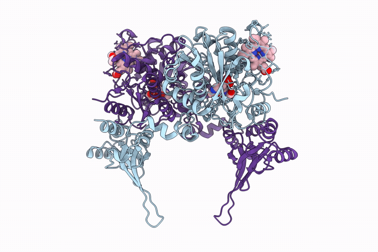 9SHN image