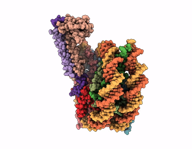 9SI3 image