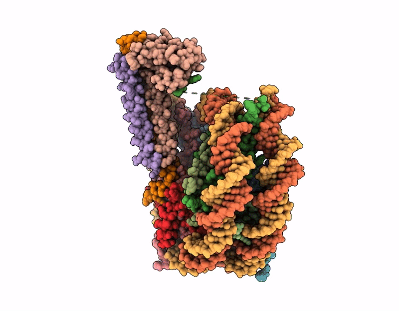 9SI9 image