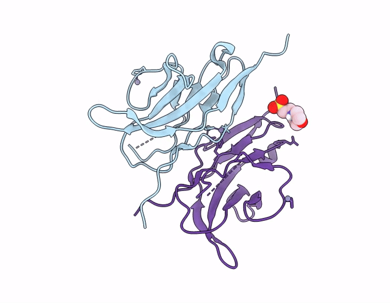 9SID image