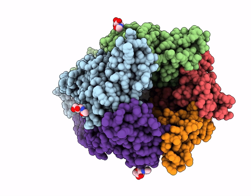 9SIO image