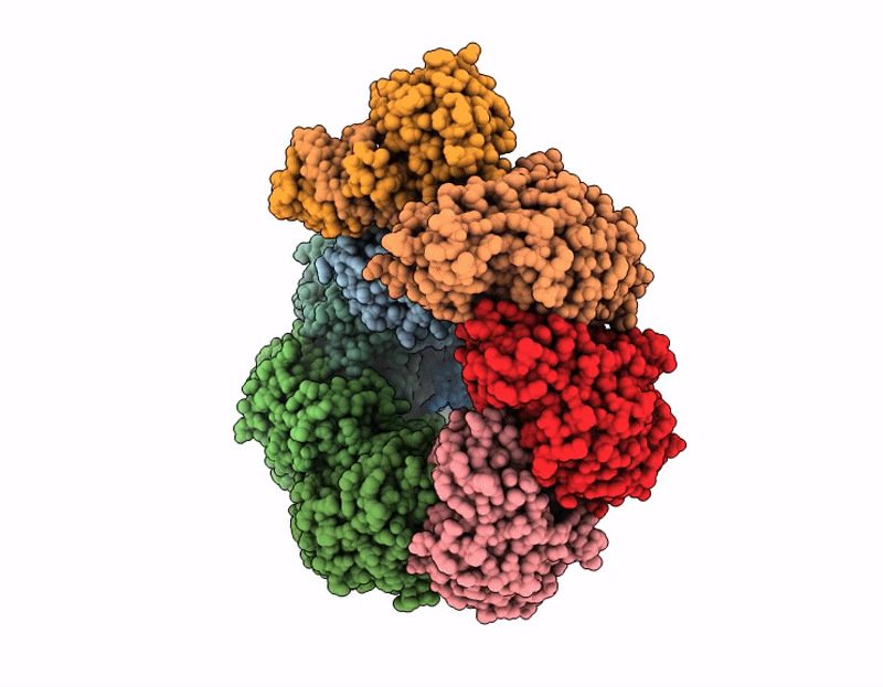 9SIT image