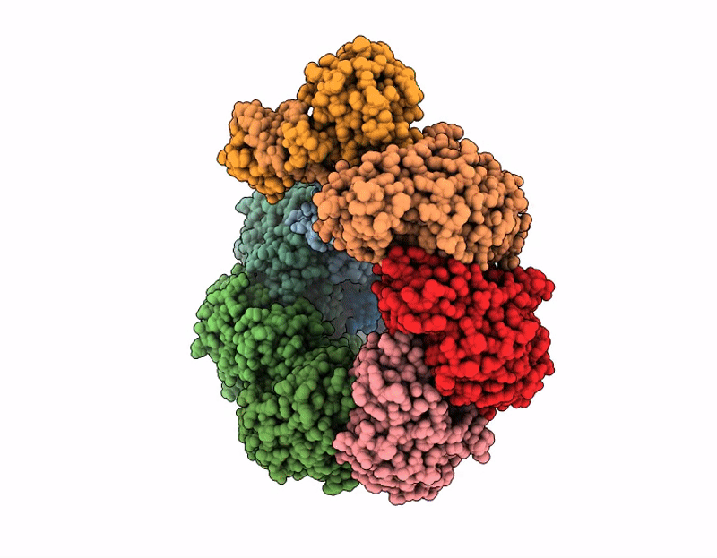 9SIU image
