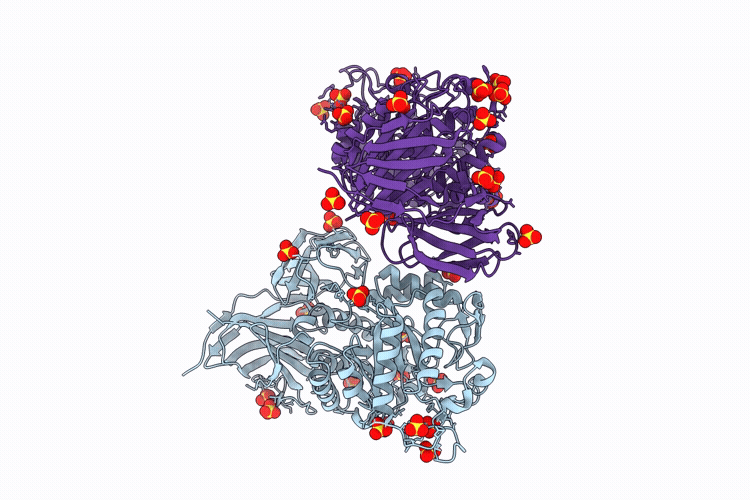 9SJH image