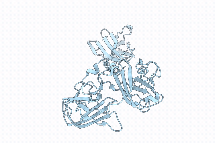 9SJI image