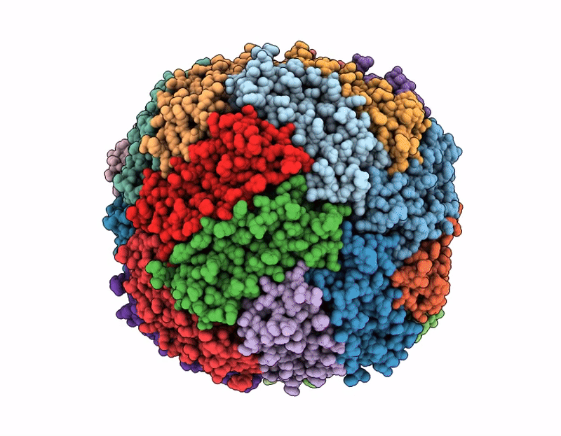 9SJR image