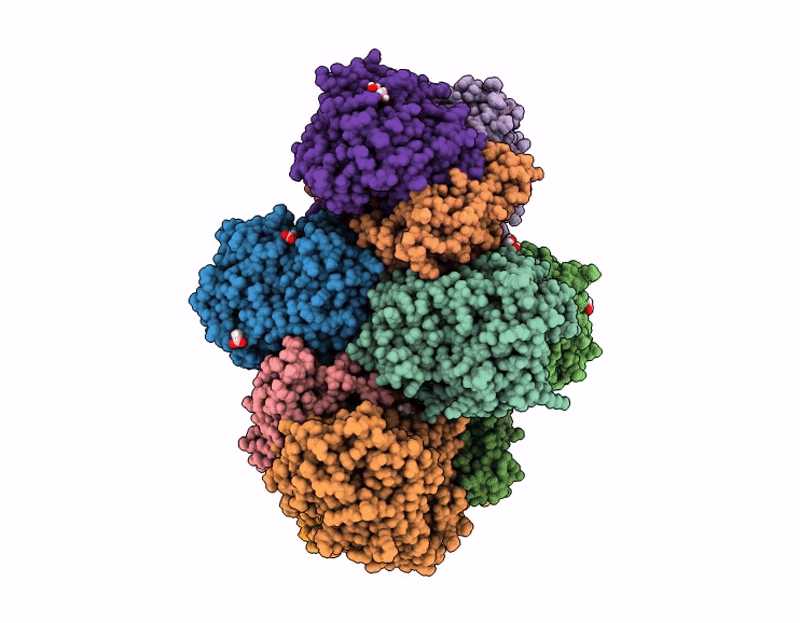 9SKM image