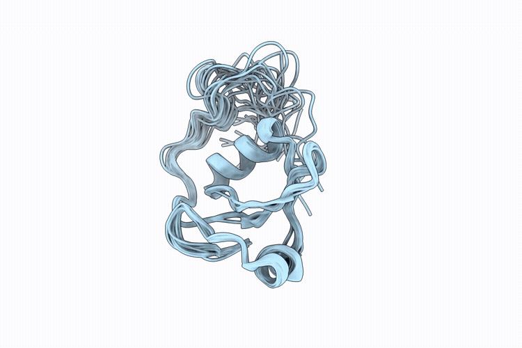 9SLR image