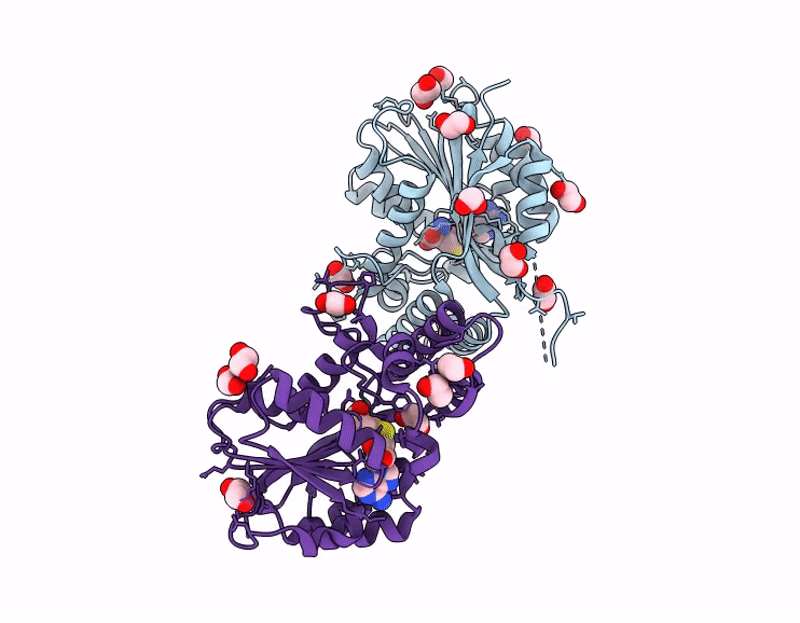 9SLS image