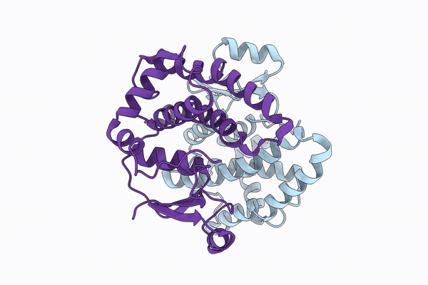 9SLT image