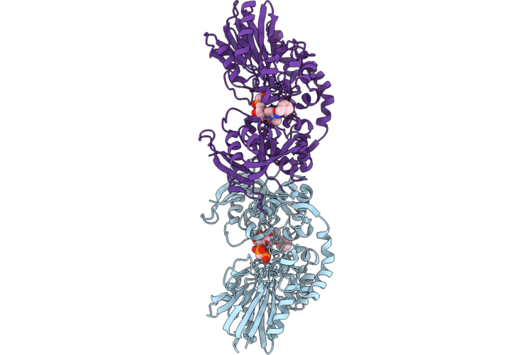 9SME image