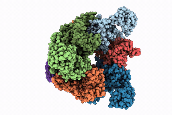 9SN2 image
