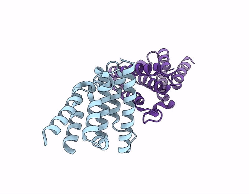 9SNG image