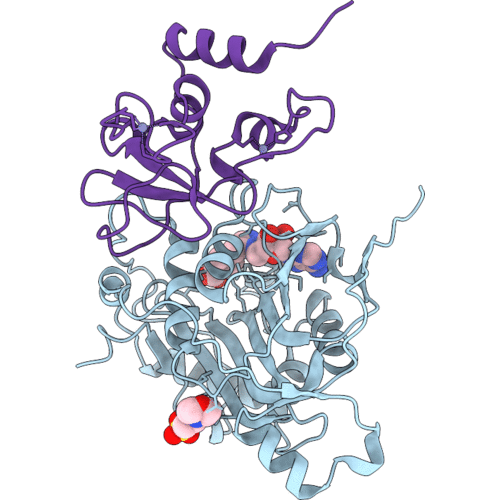 9SP2 image