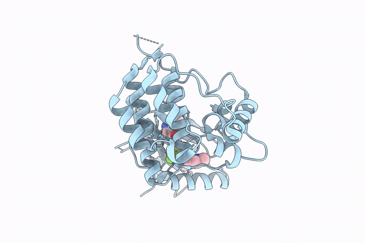 9SP9 image