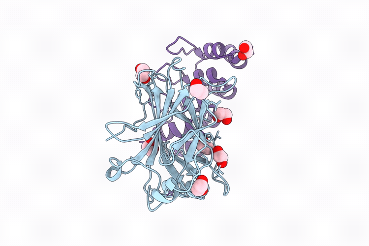 9SPP image