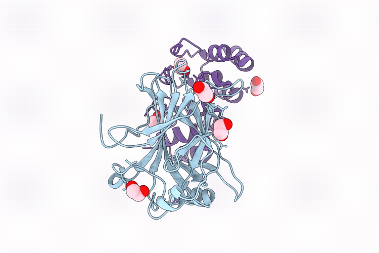 9SPR image