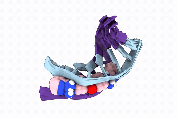 9SQC image
