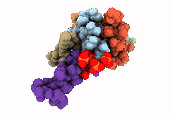 9SRH image