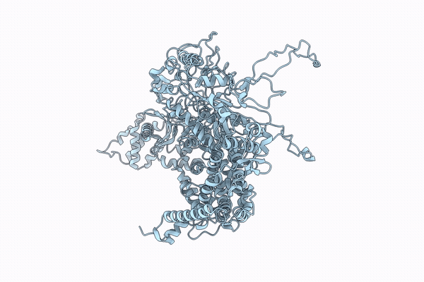 9SRR image