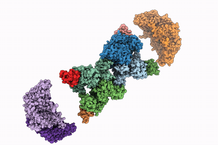 9SRX image