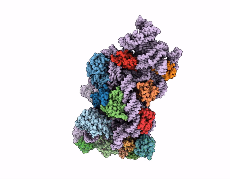 9SS1 image