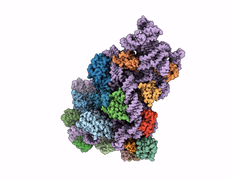 9SS2 image