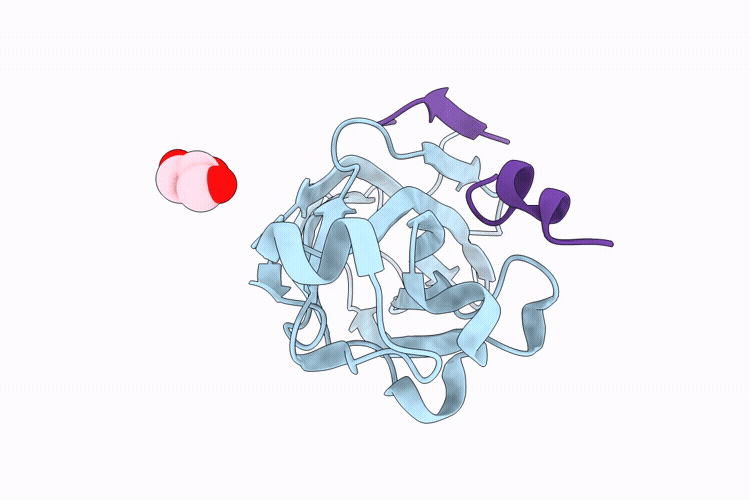 9SS3 image