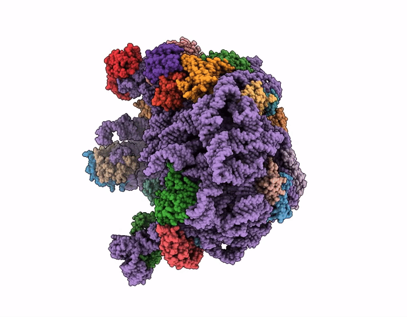 9SS4 image