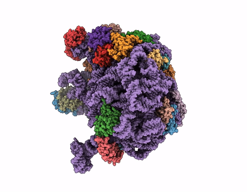 9SS5 image