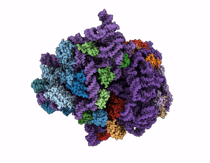 9SS6 image