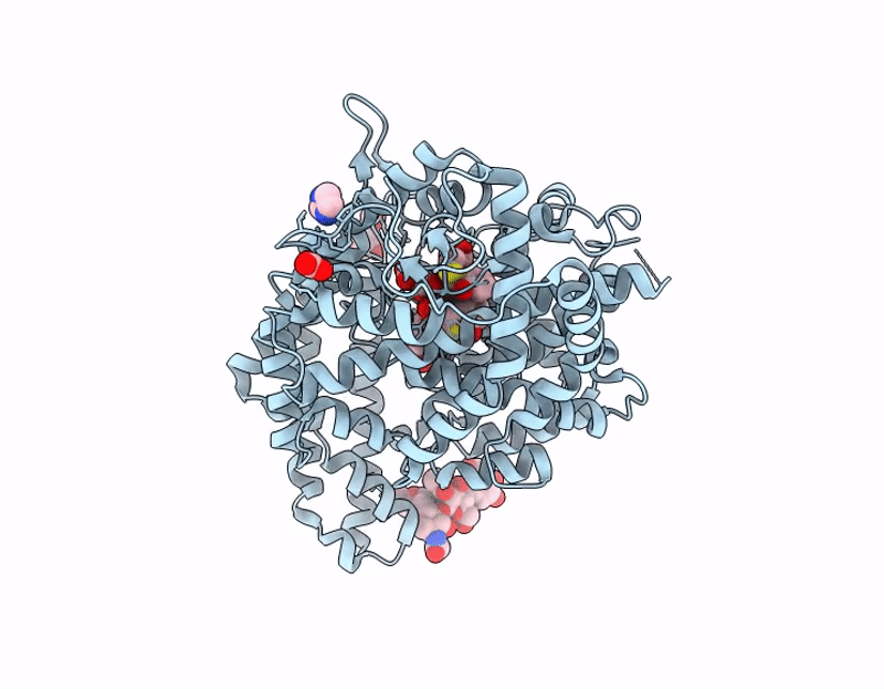 9SS7 image