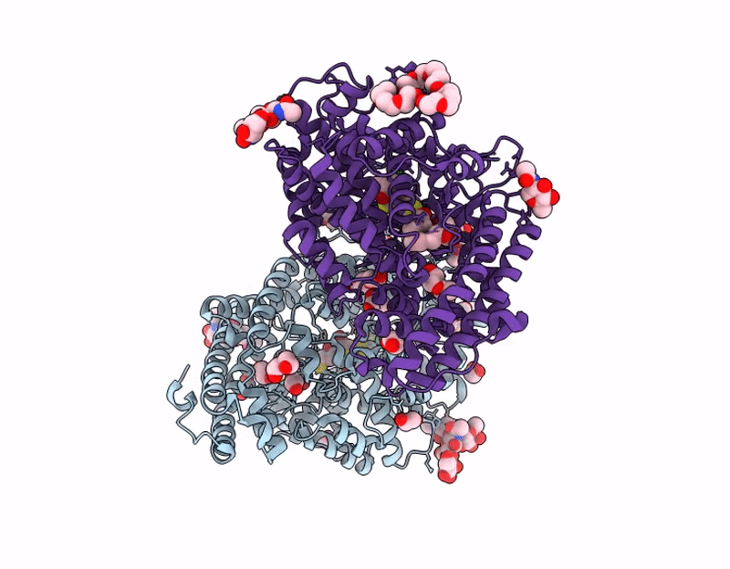 9SS8 image