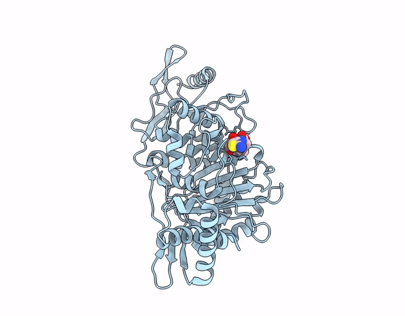 9SSI image