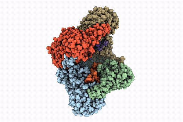 9SV7 image