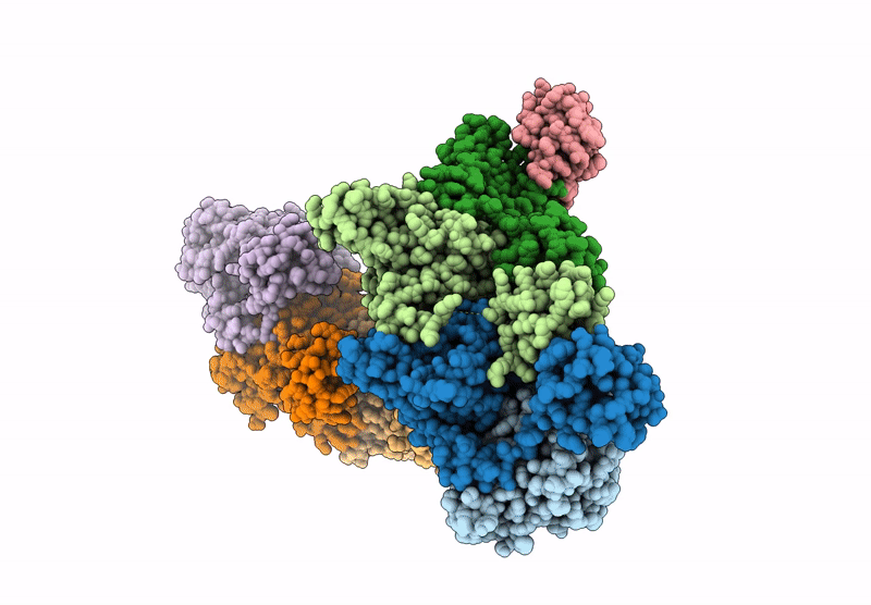 9SVX image